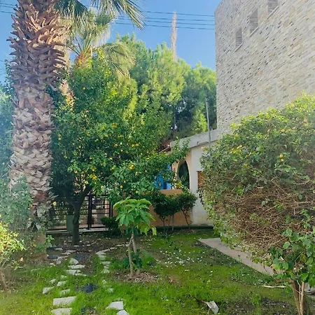 The Stone * Pissouri