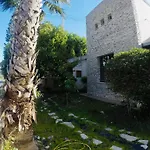 The Stone 皮斯索里