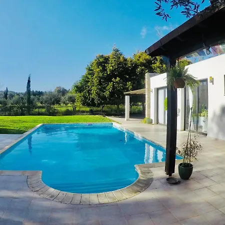 The Stone * بيسوري