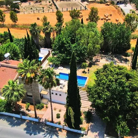 The Stone * Pissouri