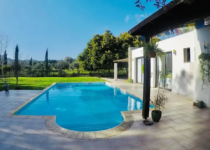 The Stone * Pissoúri