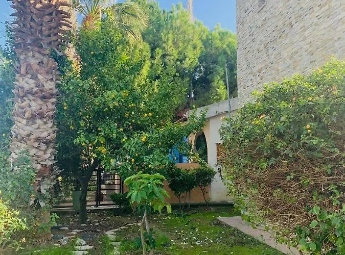 The Stone * Pissouri